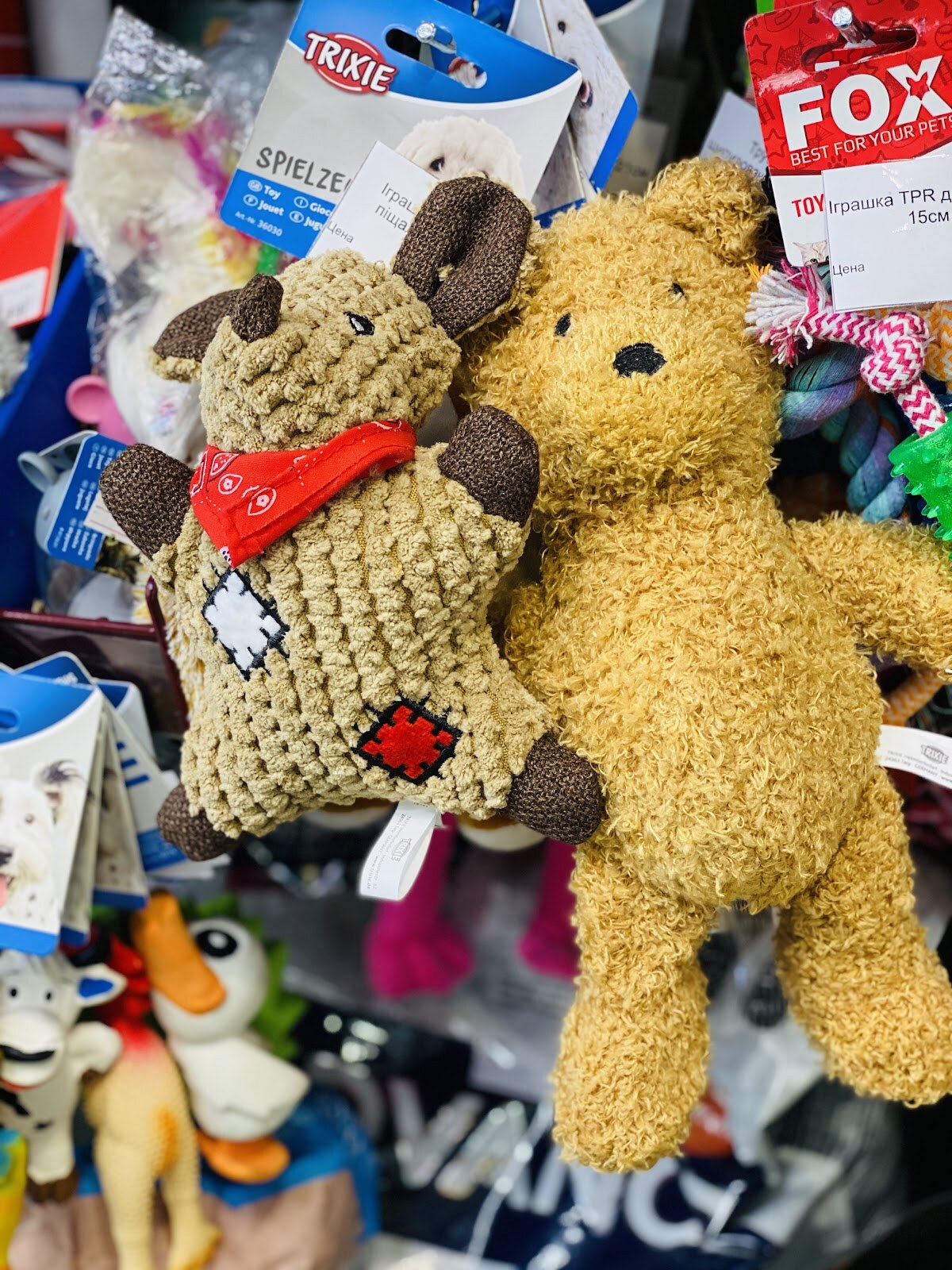 Зоомагазин Nouvel Zoo Shop