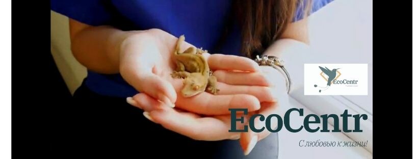 ЕкоЦентр — ветеринарна клініка для гризунів, екзотичних тварин та птахів