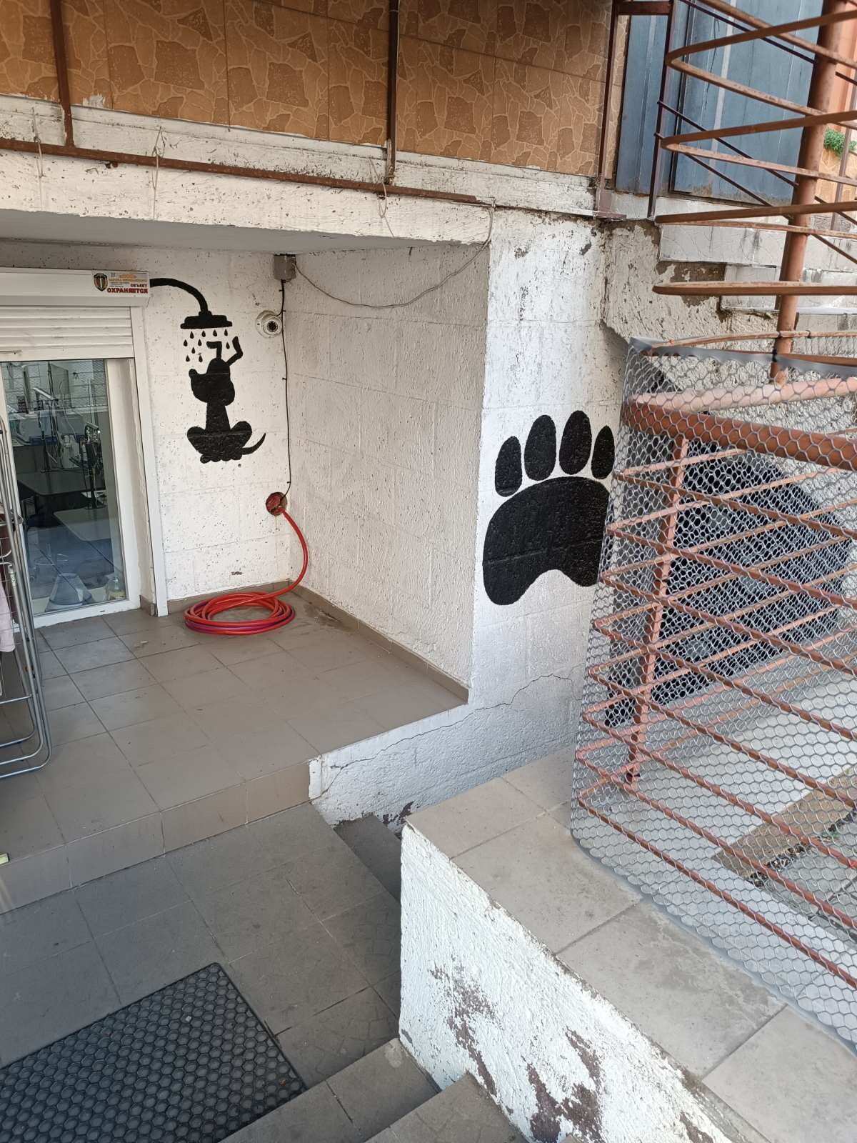 Dogs & Cats