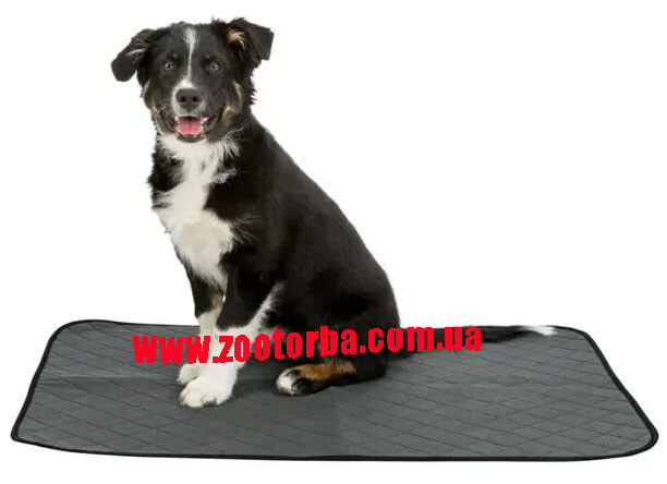Зоомаркет Умка