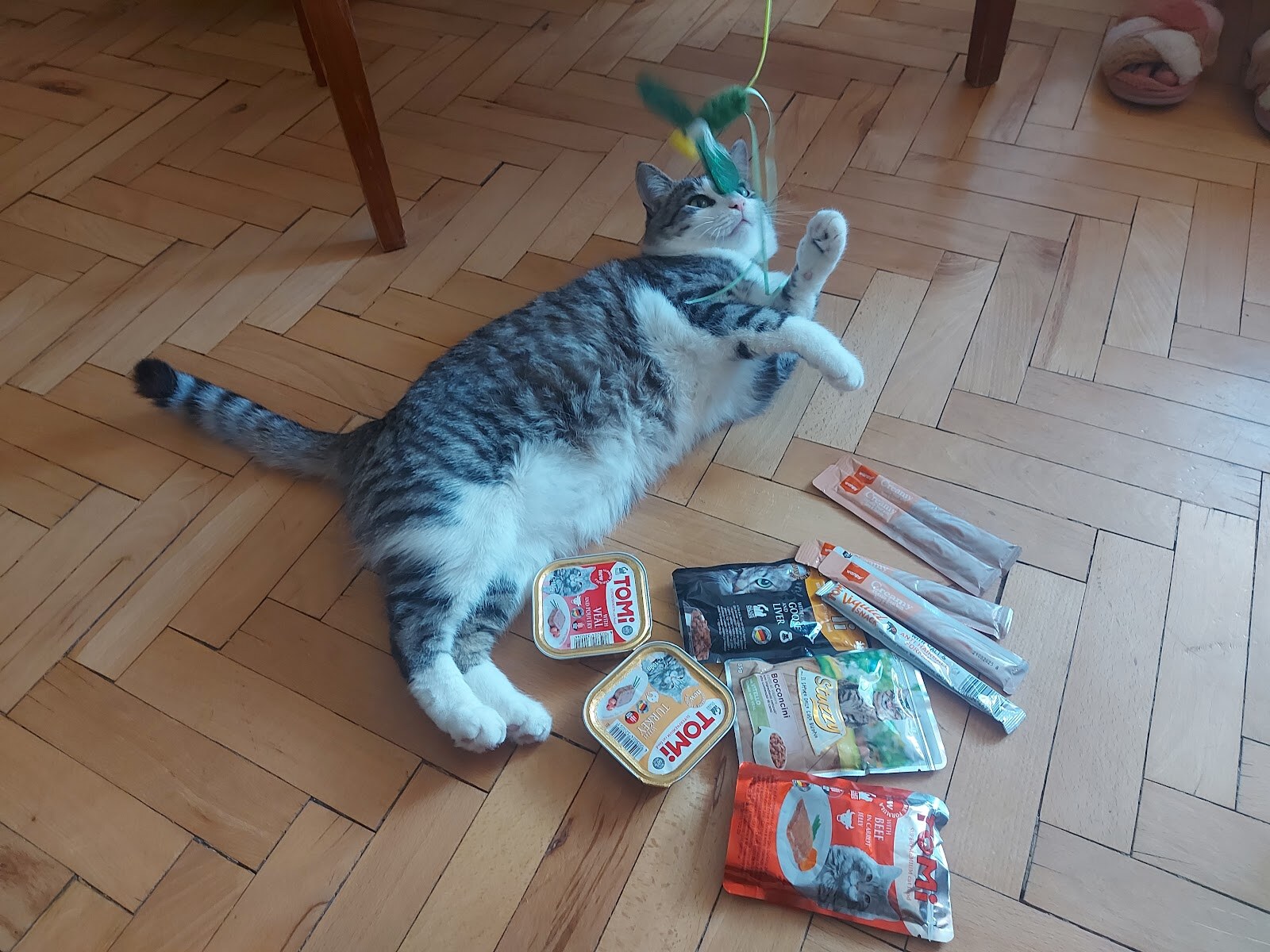 ЗооБонус