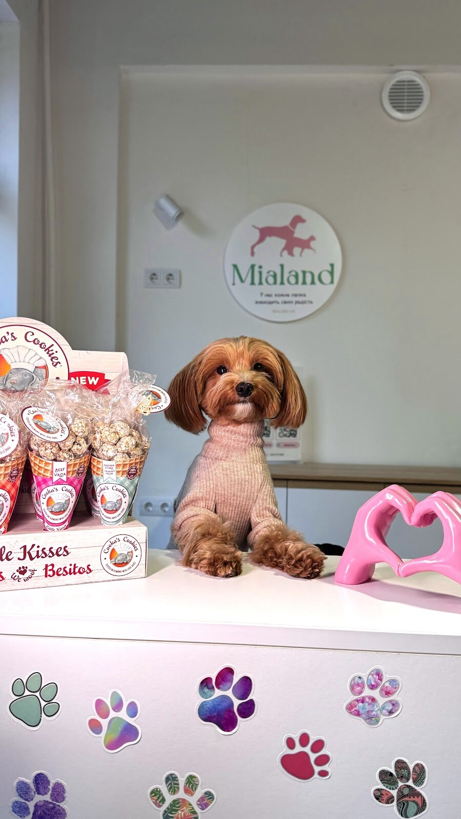 Mialand - зоомагазин для песиків та котиків, Міяленд