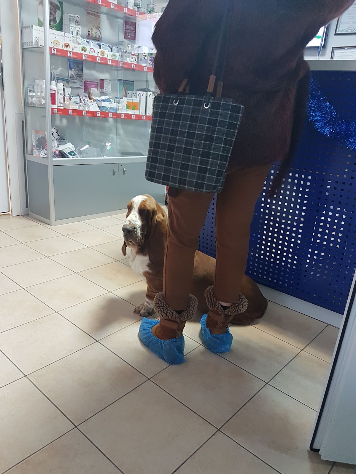 ВетПро