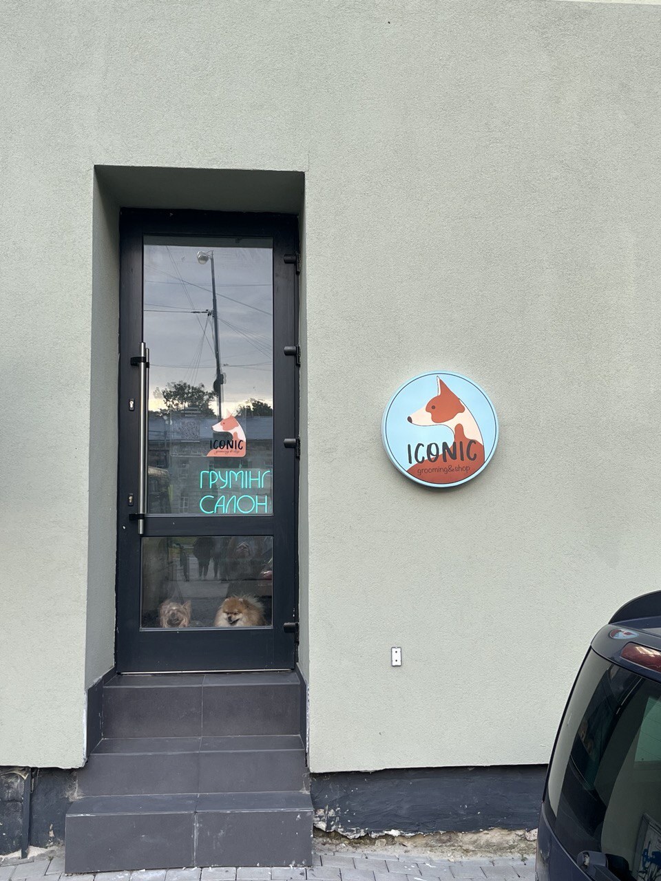 ICONIC GROOMING&SHOP