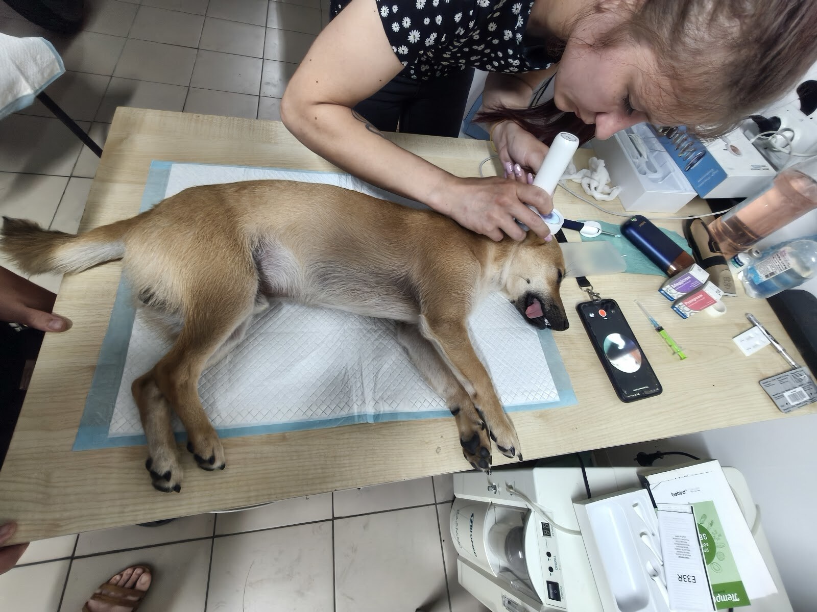 VetPlus+