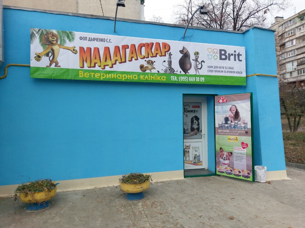 ВЕТЕРИНАРНАЯ КЛИНИКА, МАДАГАСКАР