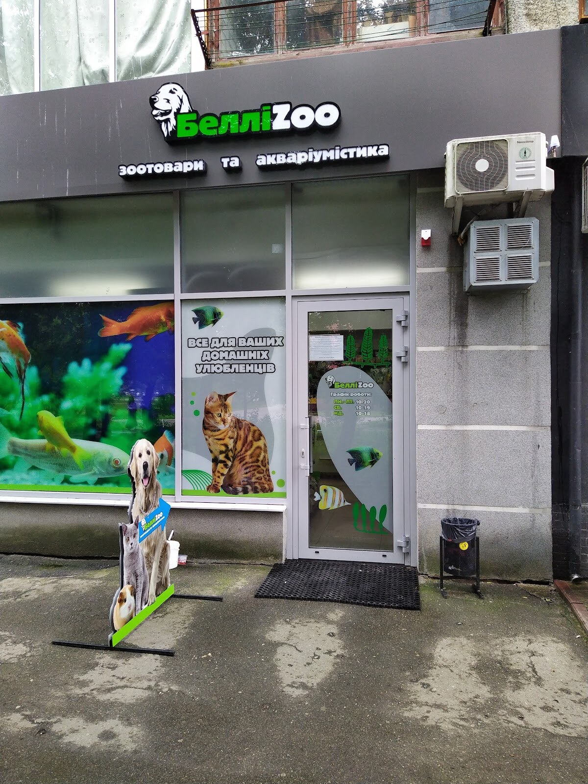 БелліZoo