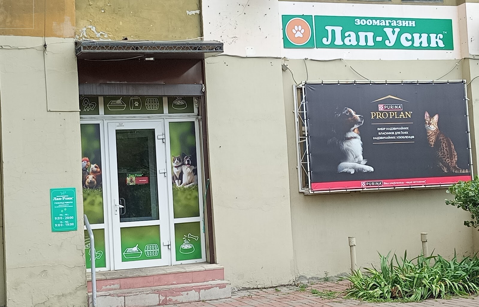 ЛАП-УСИК