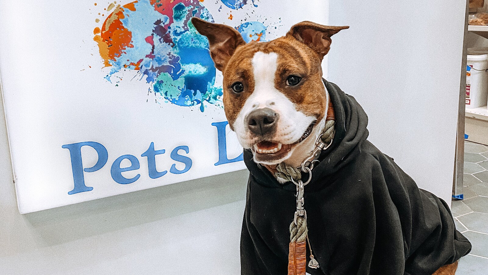 Зоомаркет Pets life