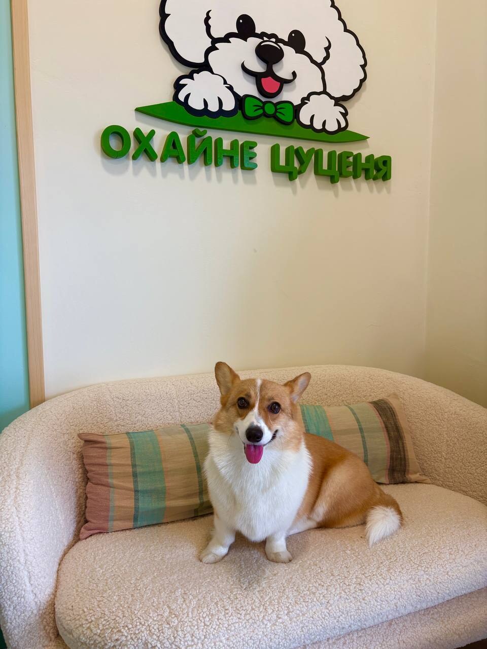 Охайне Цуценя