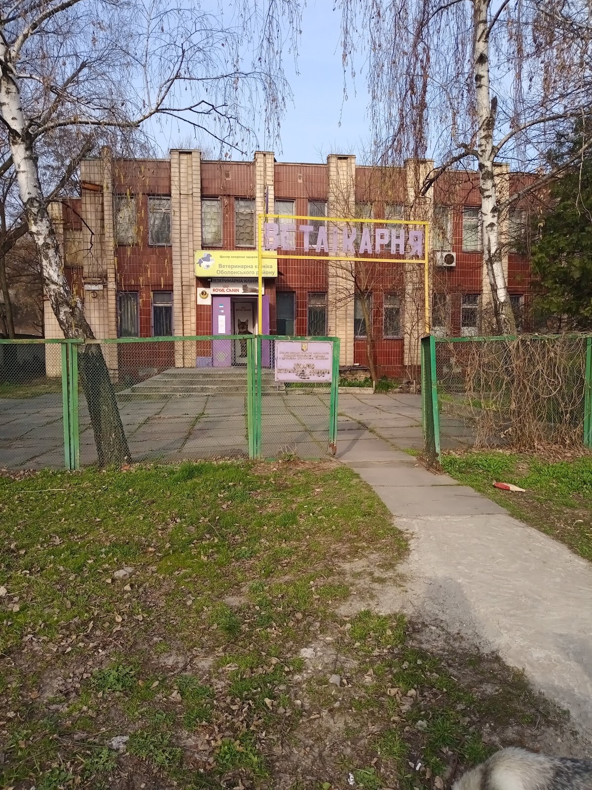 Клініка ветеринарної медицини Оболонського району