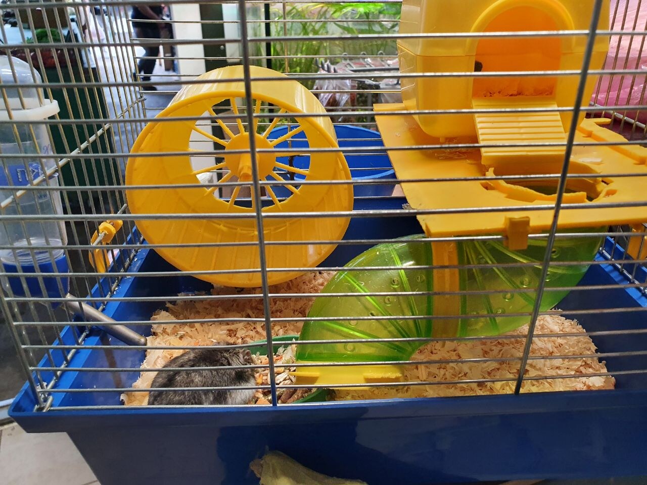 ZooМагазин