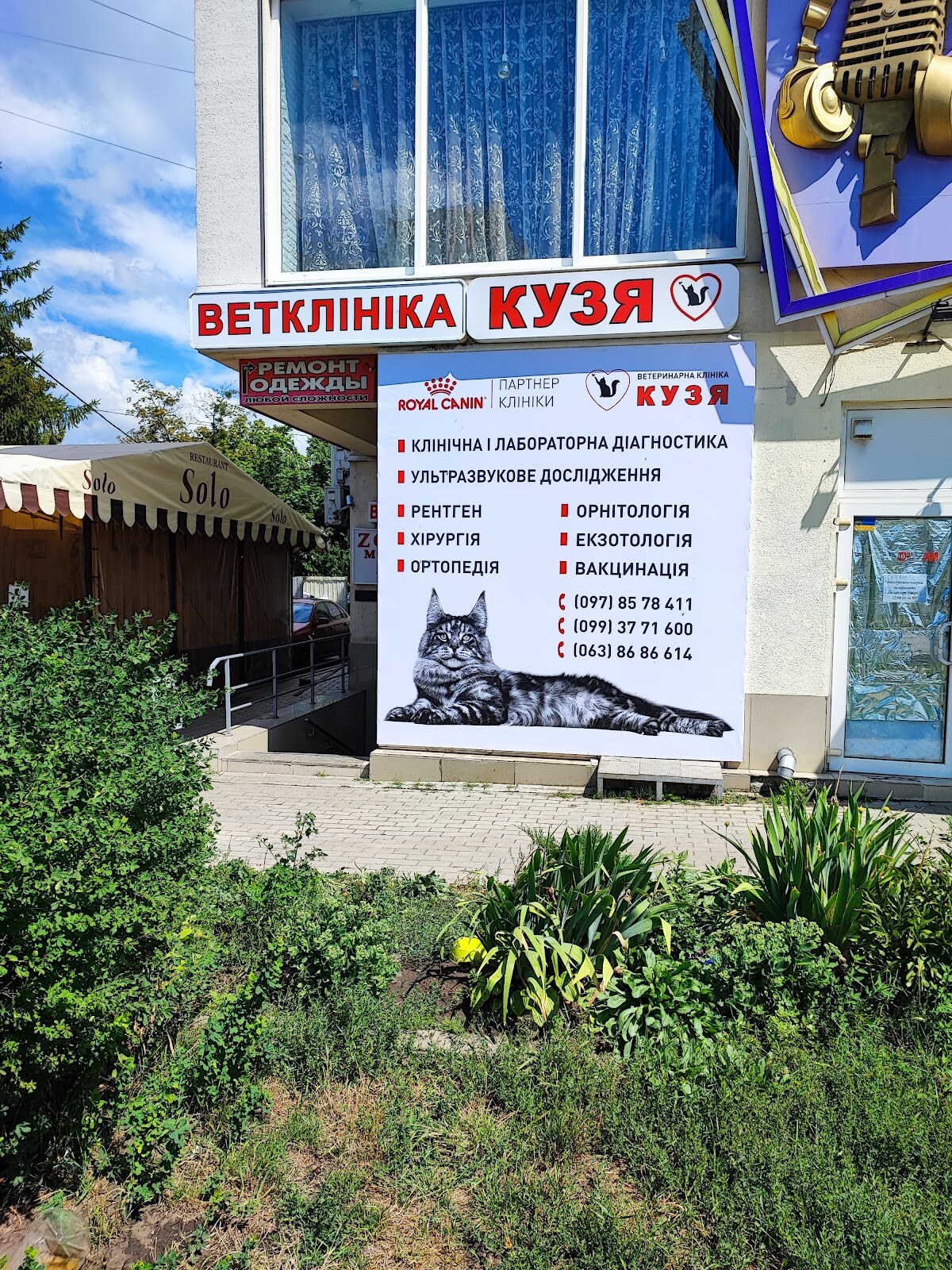Ветеринарна клініка «Кузя» , зоомагазин Кузя