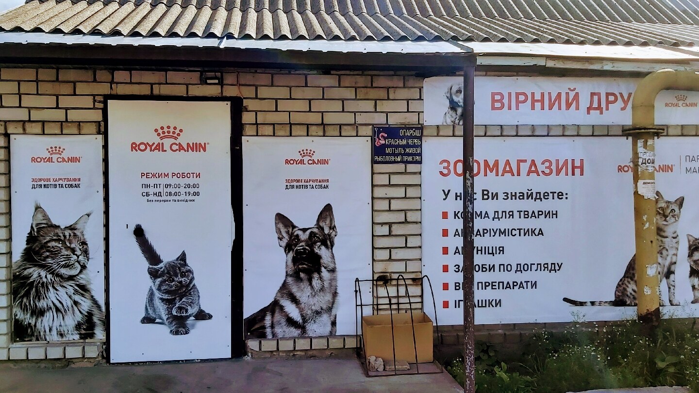 Вірний Друг