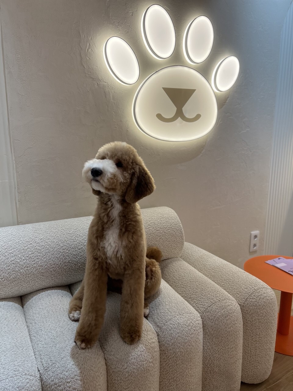 PetSpot
