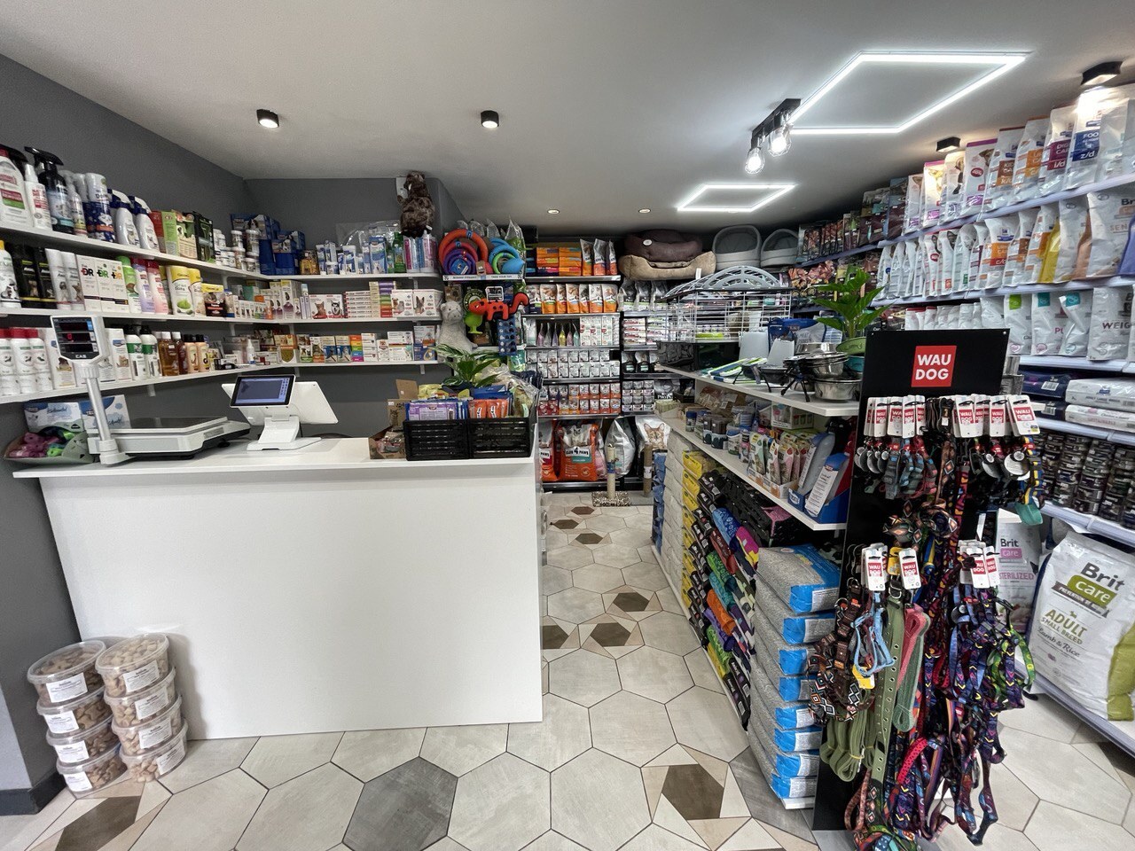DreamPetStoreFamily