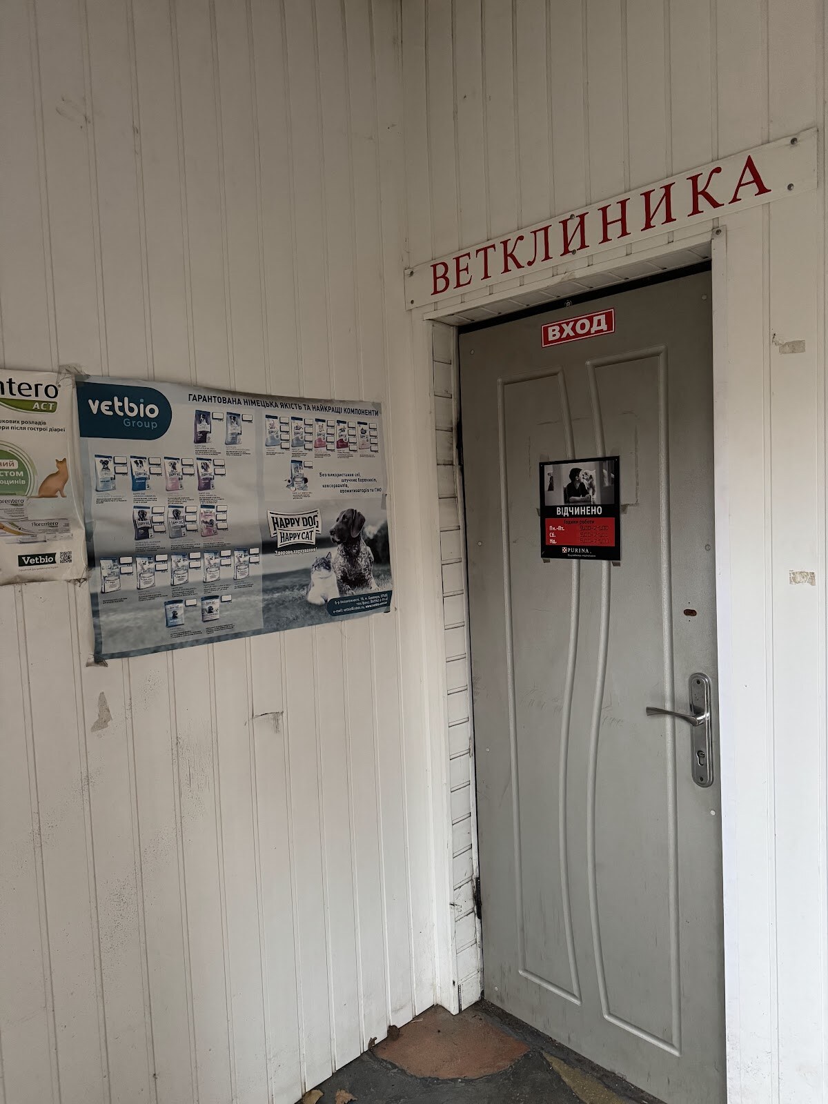 Ветклиника «Лесси»
