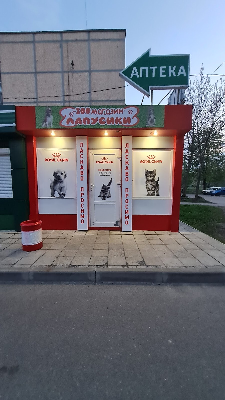 Лапусики