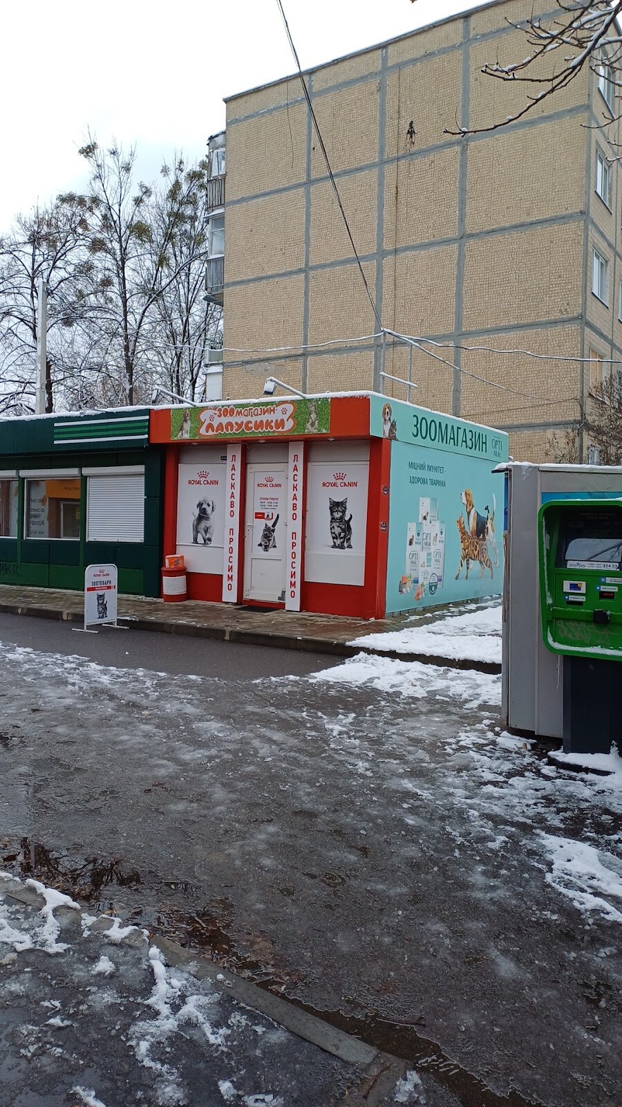 Лапусики
