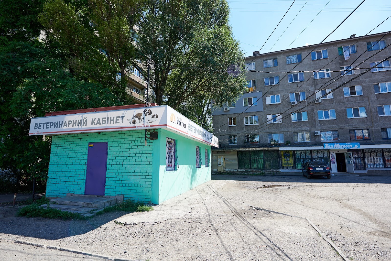 Ветклініка Золотий мангуст