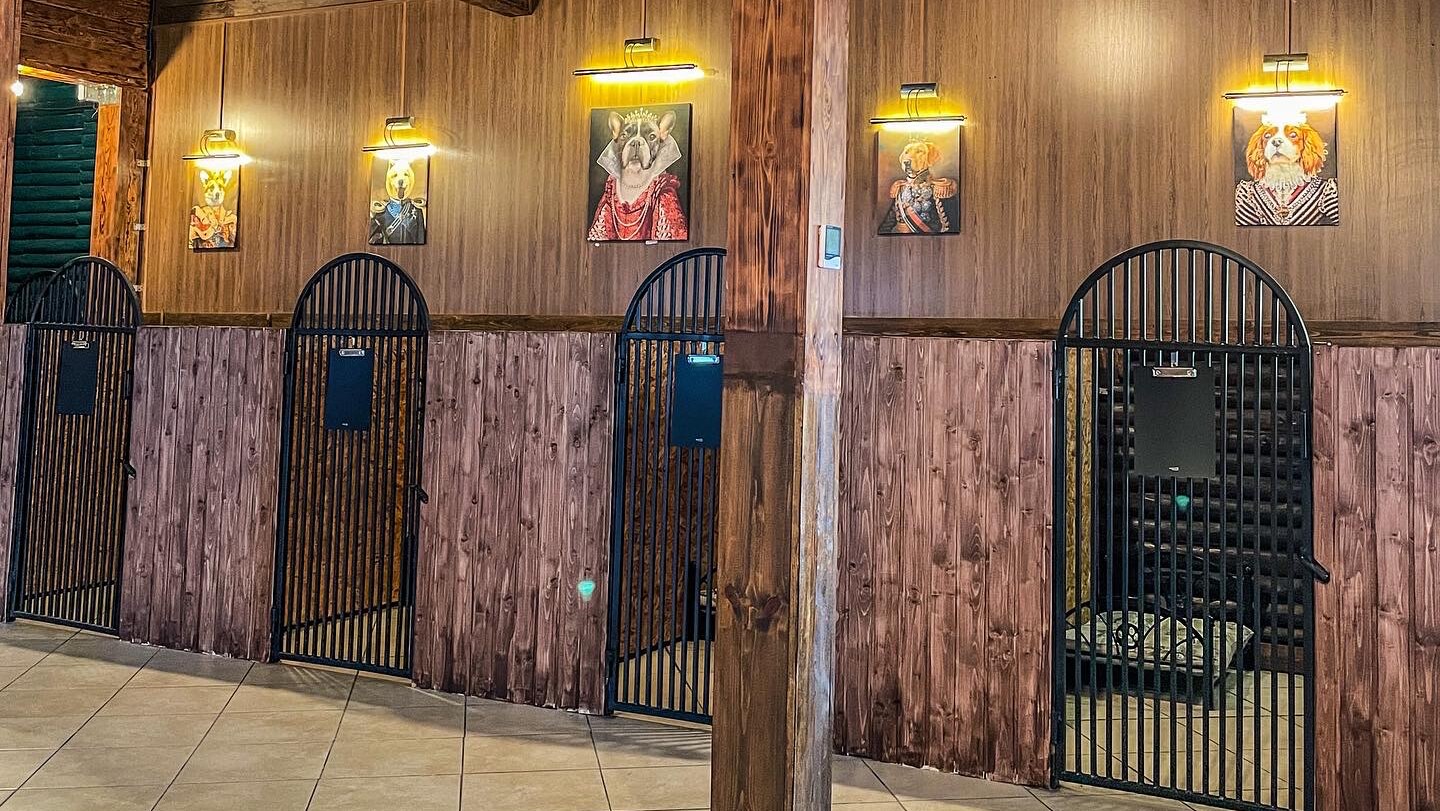 DOG PALACE - Одеський готель для собак