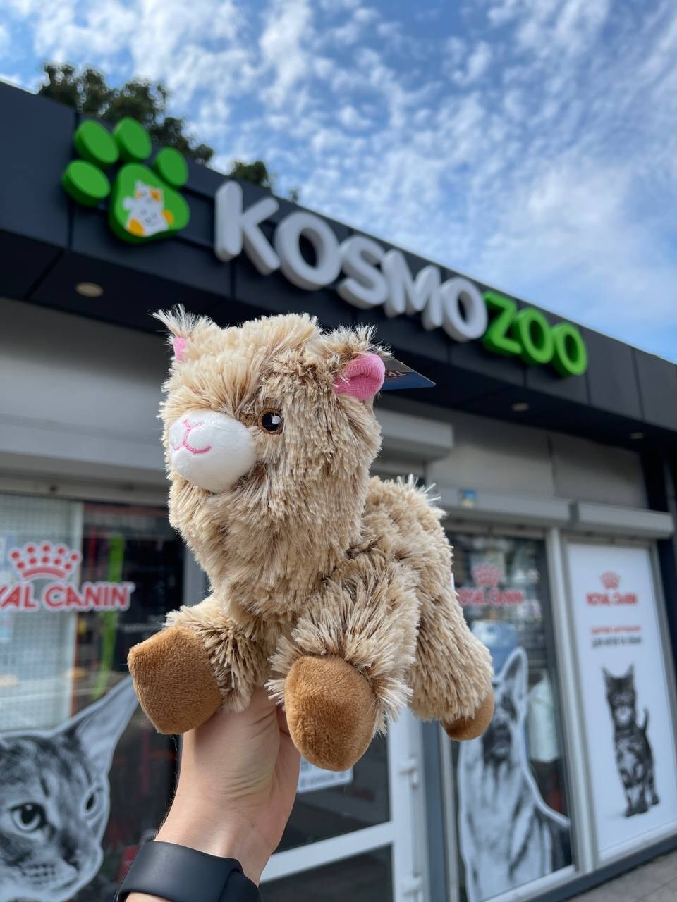 KOSMOZOO