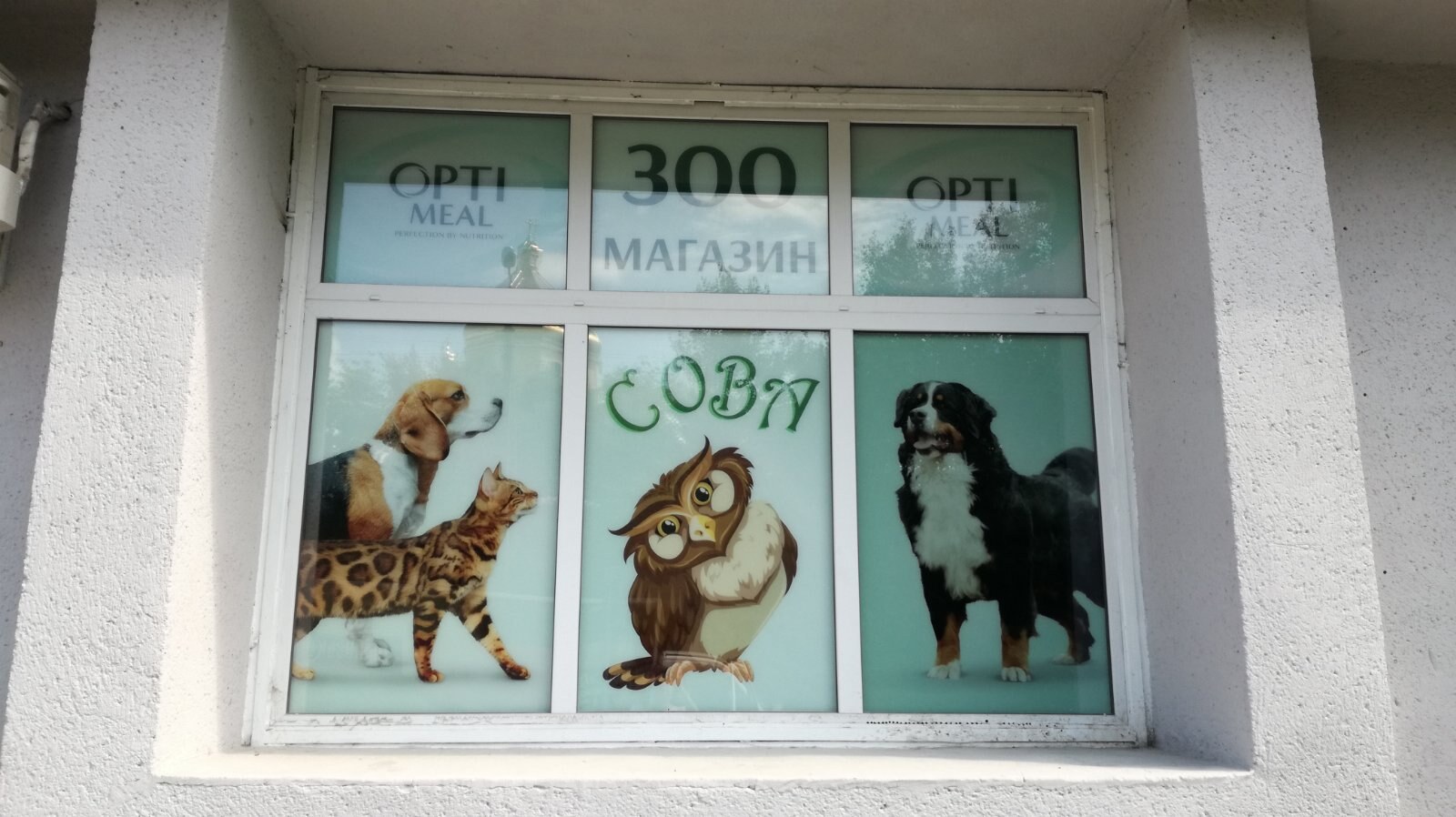 Зоомагазин «Сова»