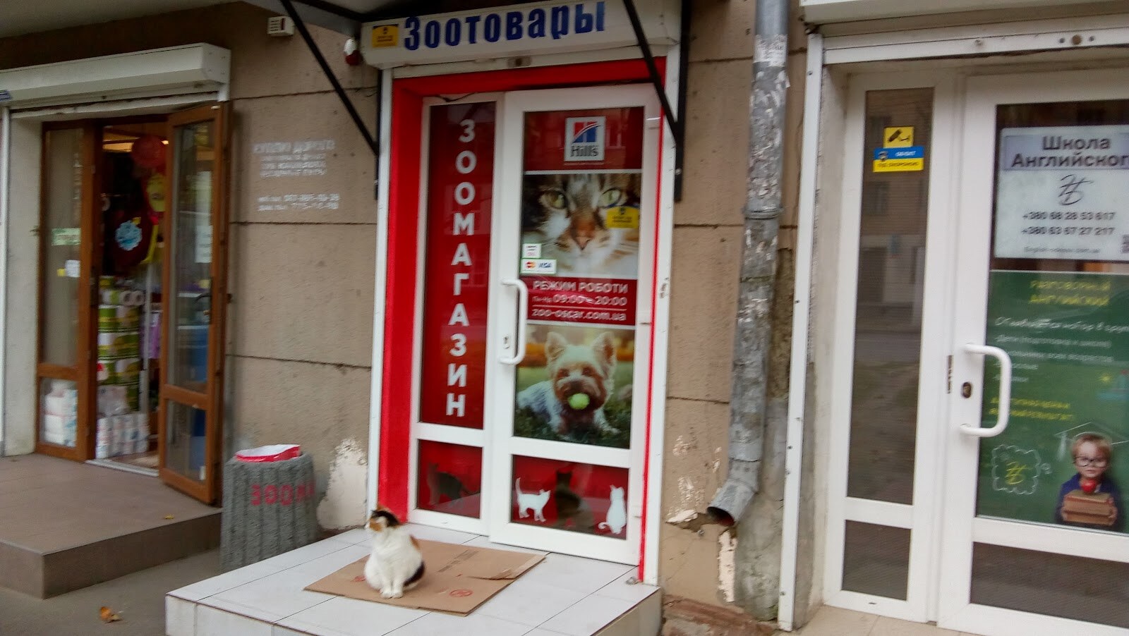 Зоомагазин ЗооОскар