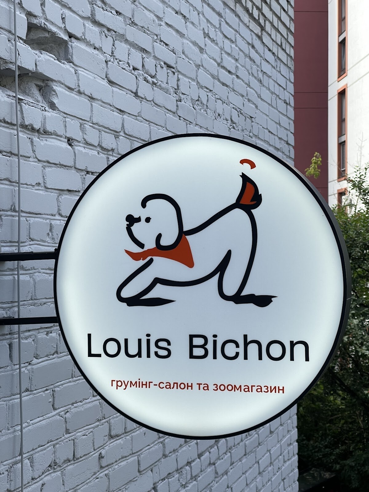 Грумінг Салон Louis Bichon