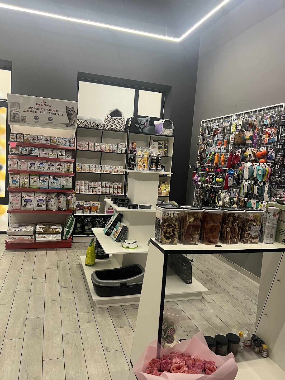 Animal Store
