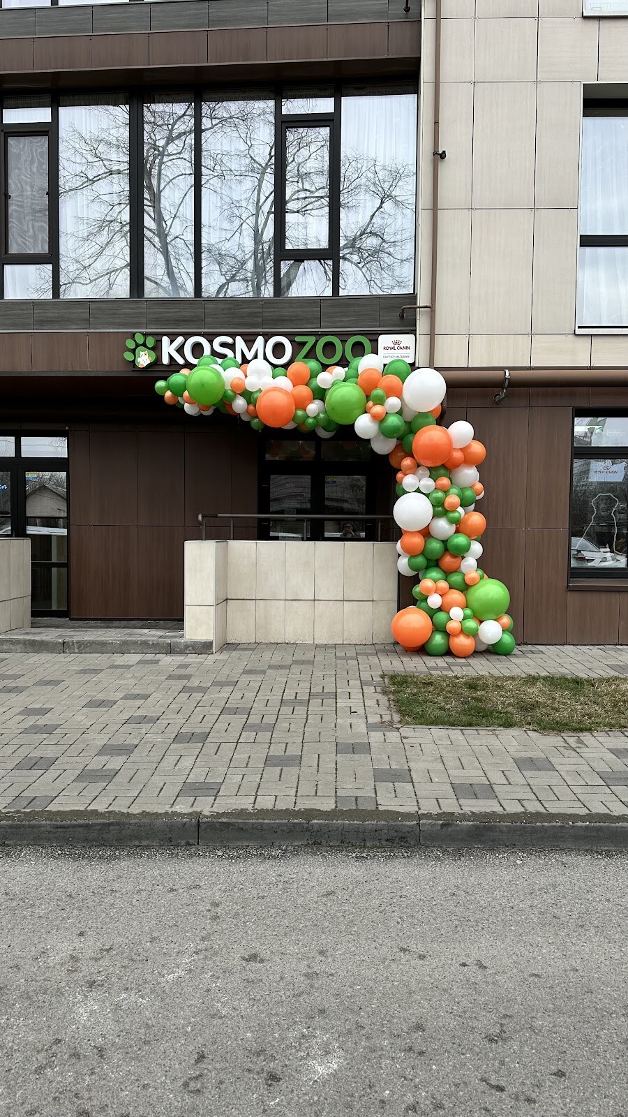Kosmozoo