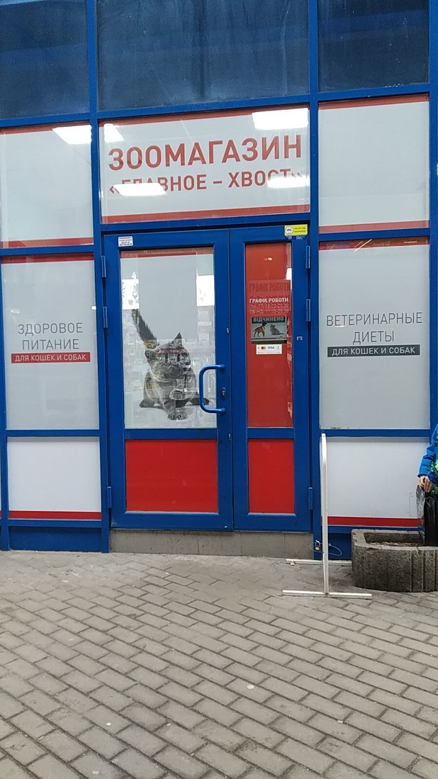 ГоловнеХвіст