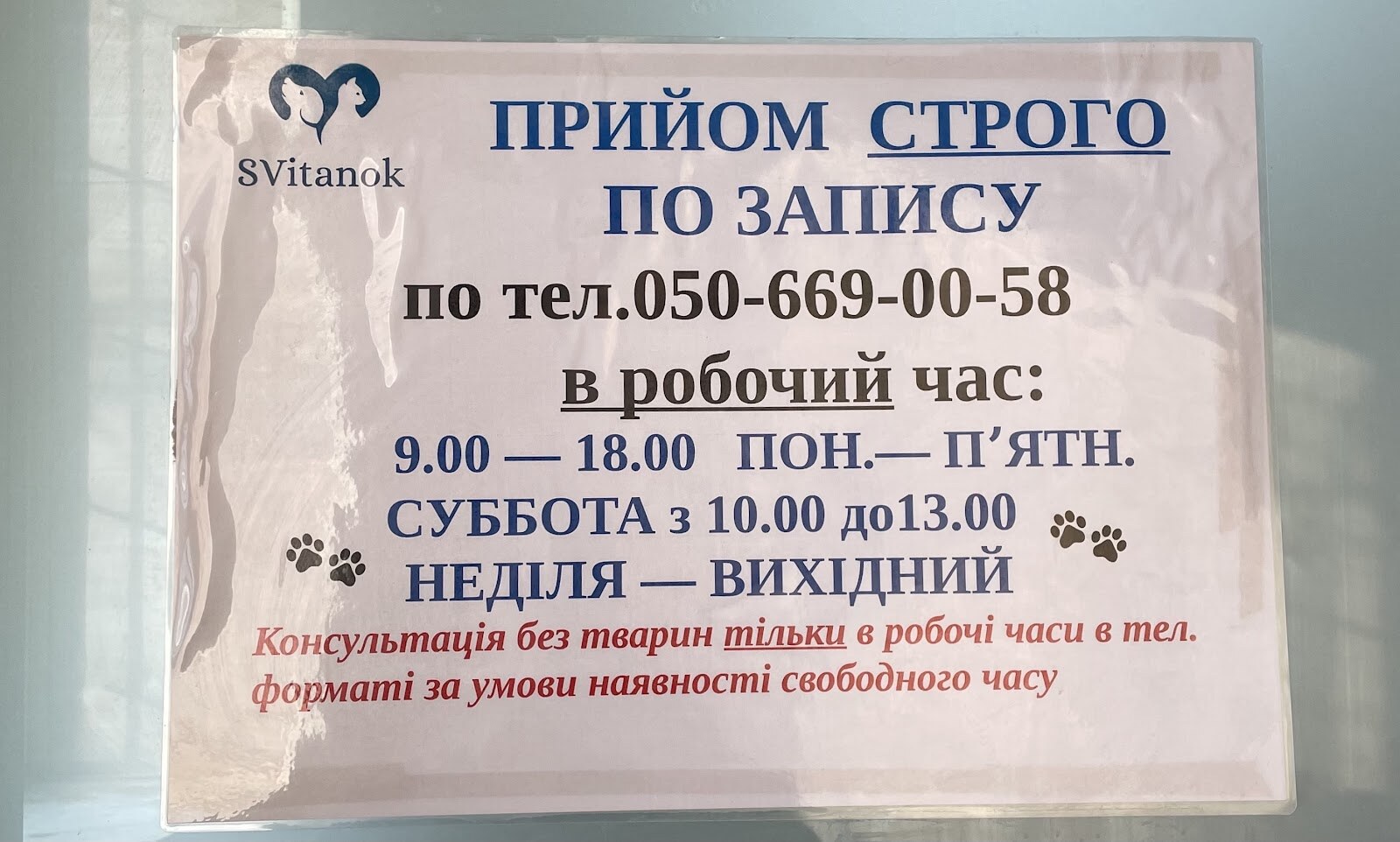 Ветеринарная клиника rasS-Vet