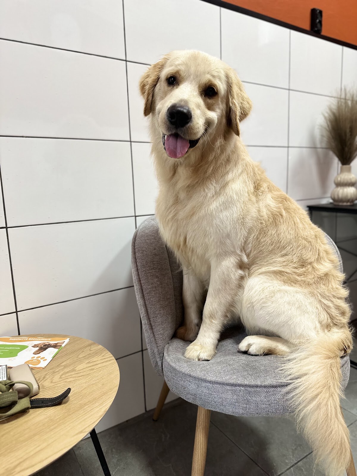 Sinay Grooming - Грумінг салон