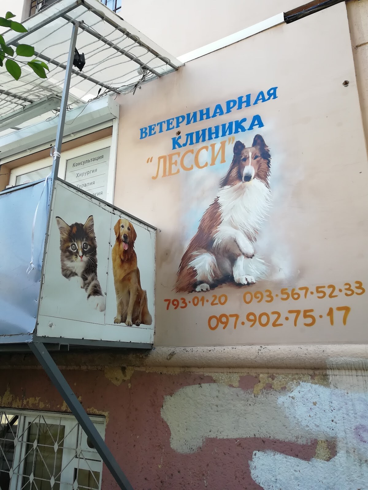 Лесси