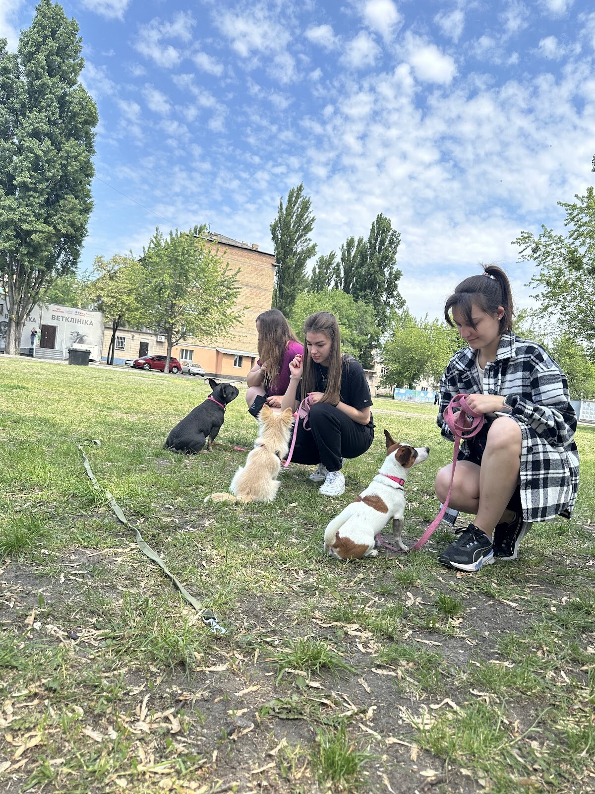 Дресирування собак MaliGuards Club K9