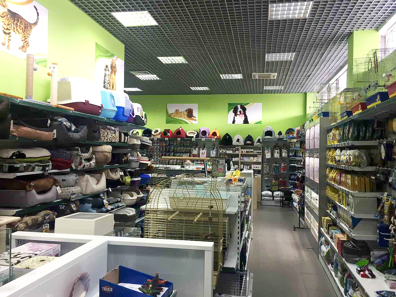 Зоомаркет MasterZoo
