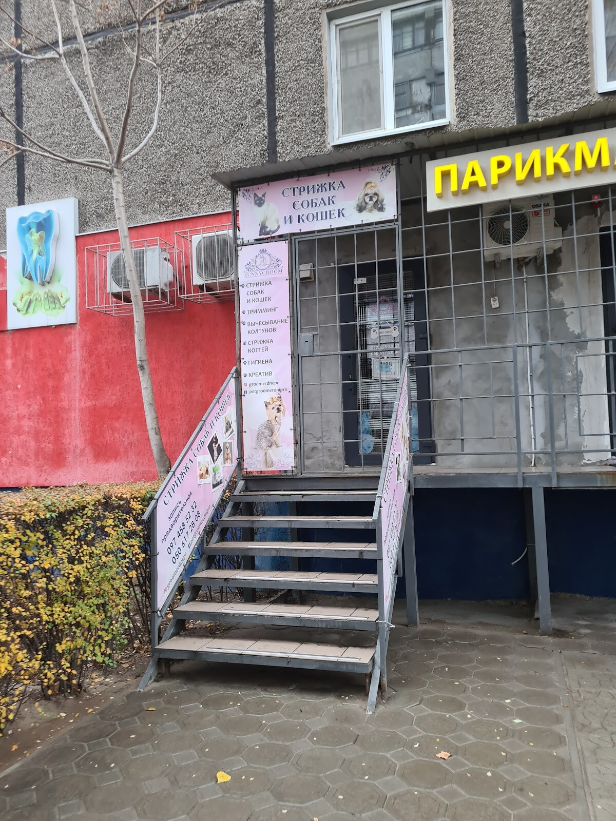 Груминг салон Sunnygroom