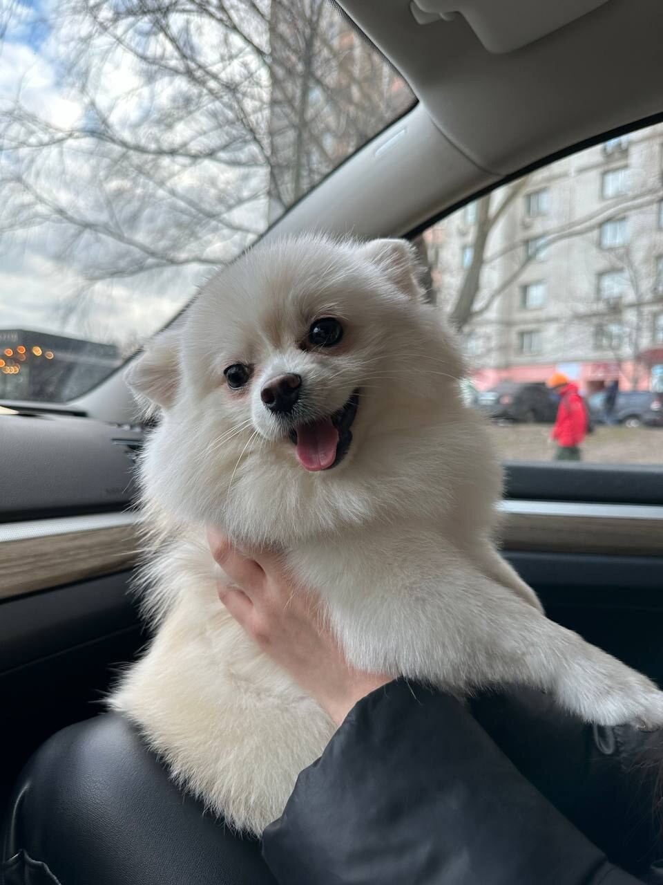 Грумінг Салон Molly Pet