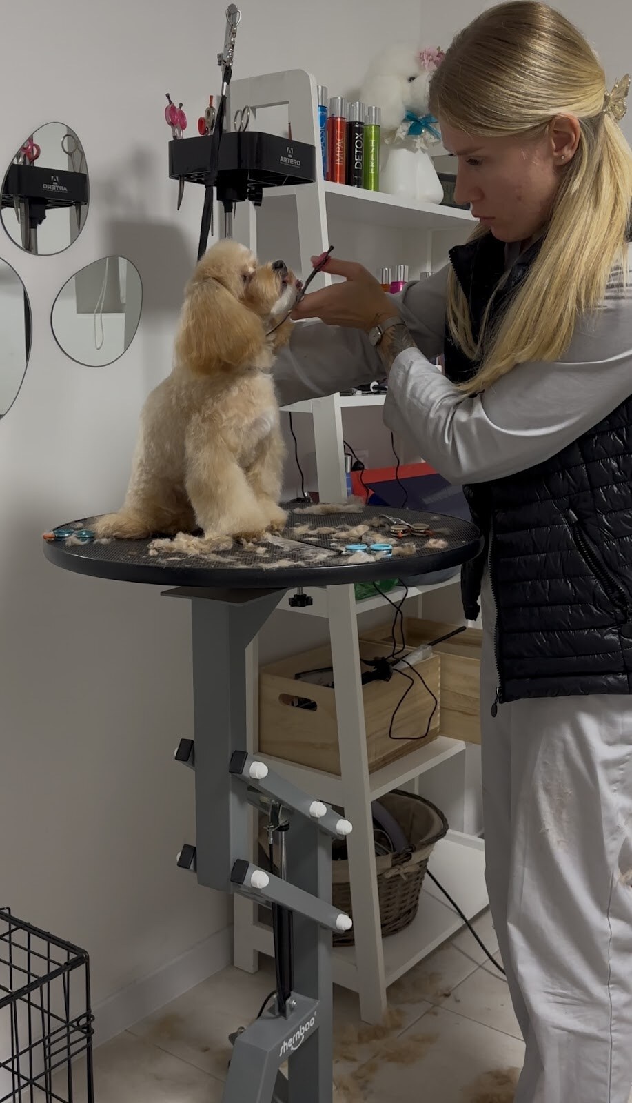 Love your pets studio