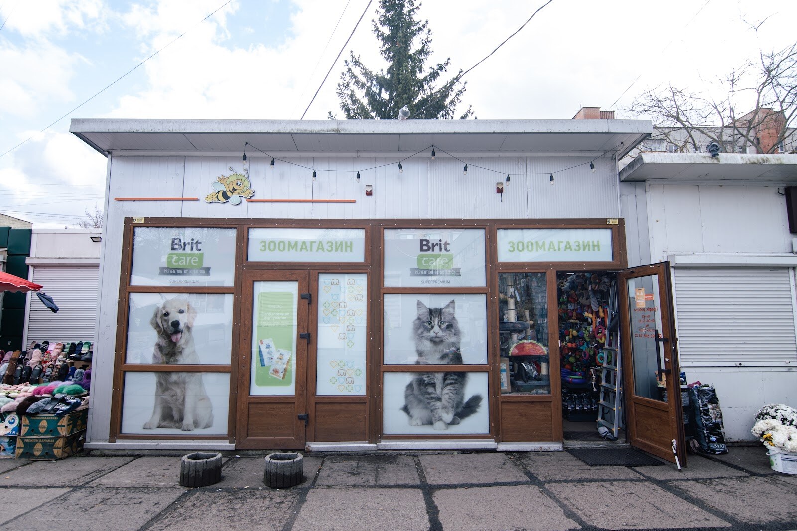 Зоомагазин