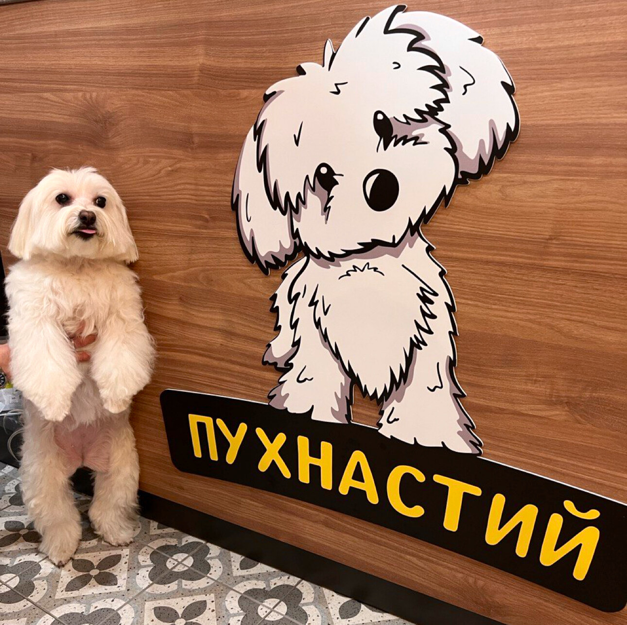 Зоомагазин Пухнастий