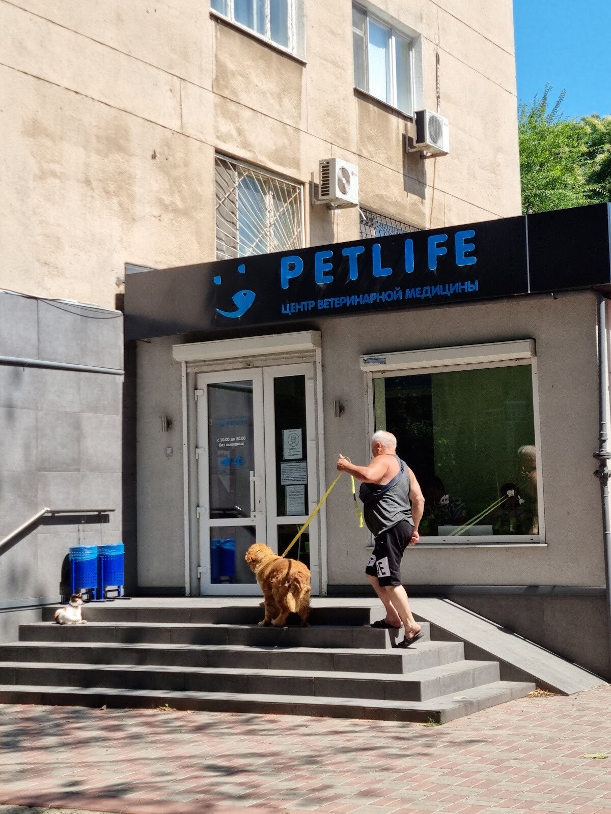 PETLIFE - Центр ветеринарной медицины