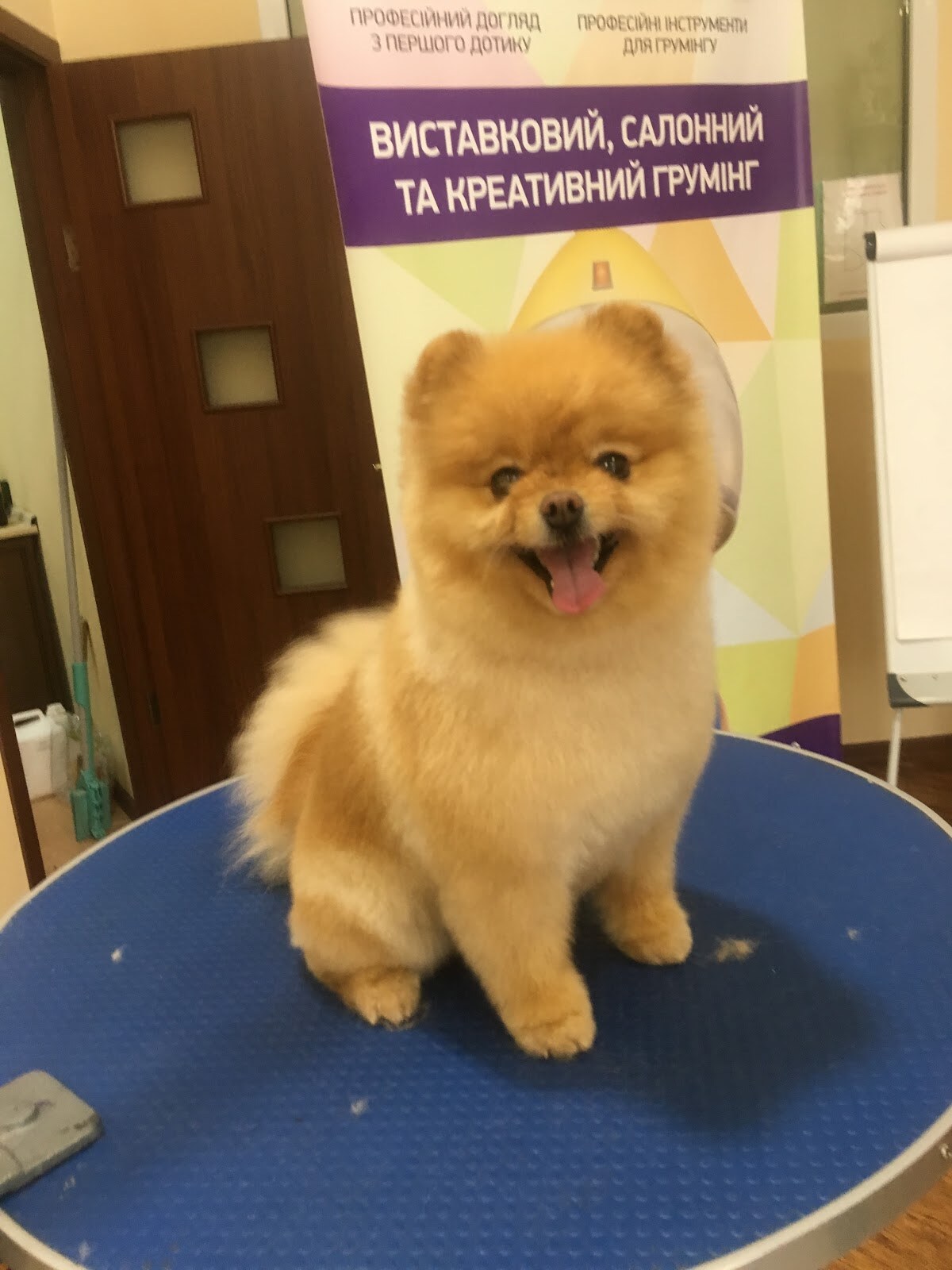 Зоосалон DogBrands