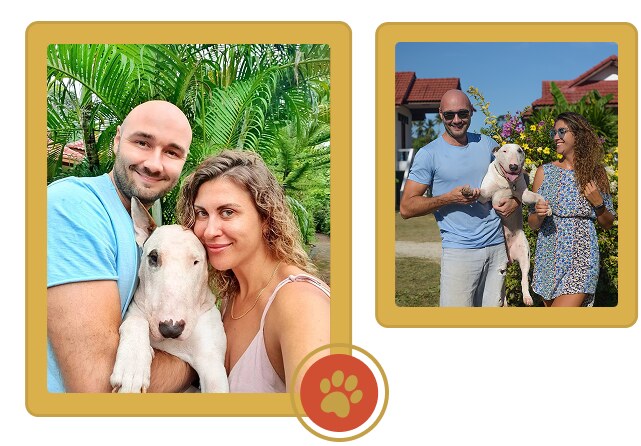 Зоомагазин Dog.com.ua