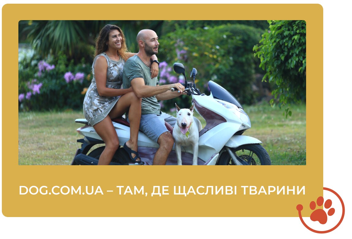 Зоомагазин Dog.com.ua
