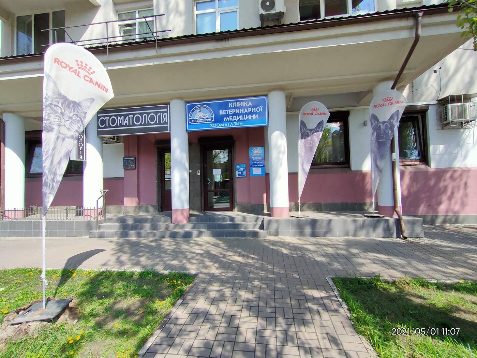 Кіт Бегемот