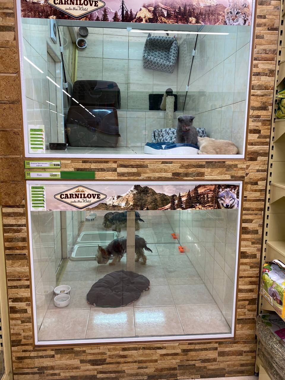 Зоомаркет MasterZoo