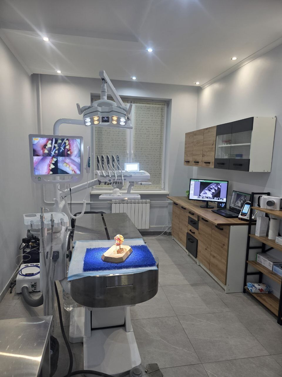VetDental