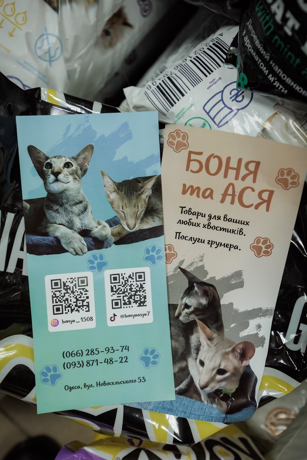 Зоомагазин БОНЯтаАСЯ